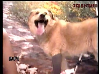 Man And Animal Cartoon Porn