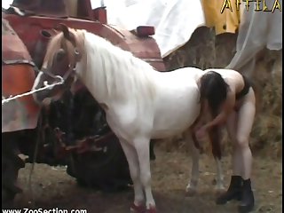Erica Venus With Pony