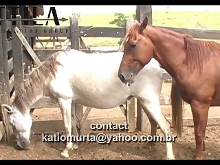 The Best Of The Best Scene 02