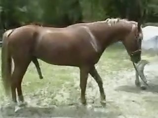 Hsol 1