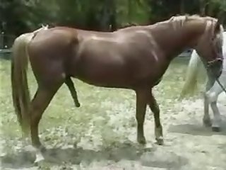 Hsol 1
