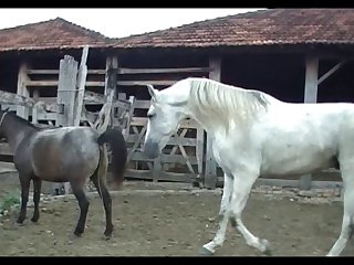 Lupe Vs Stallion Scene 01