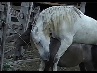Lupe Vs Stallion Scene 01