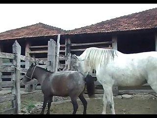 Lupe Vs Stallion Scene 01