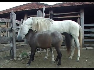 Lupe Vs Stallion Scene 01