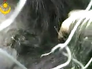 Loving Dakotas Cock Chunk 19