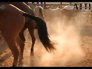 Abdon 4 1