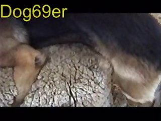 Bbw Women Dog Porn