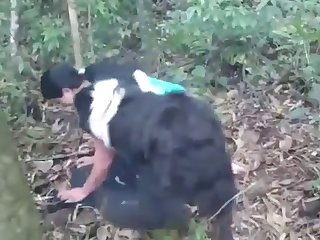 Cartoon Animal Sex Video
