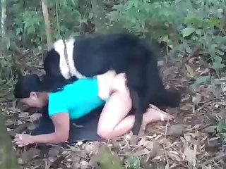 Cartoon Animal Sex Video