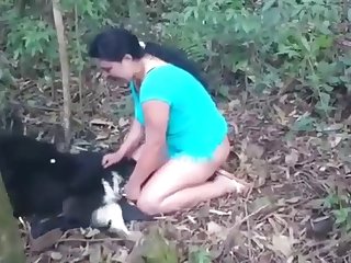 Cartoon Animal Sex Video