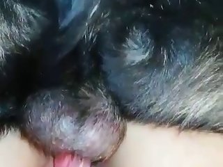 Alexis Wright Zoo Porn