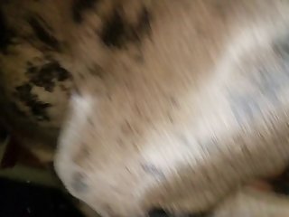 Pregnant Girl Zoo Porn