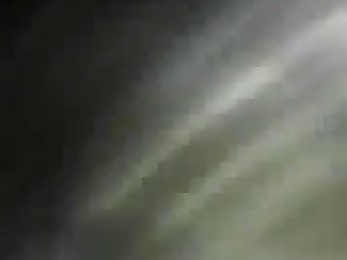 Chicken Fuck Zoo Porn