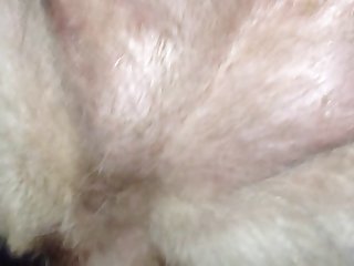 Pain Dog Porn