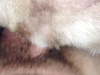 Pain Dog Porn