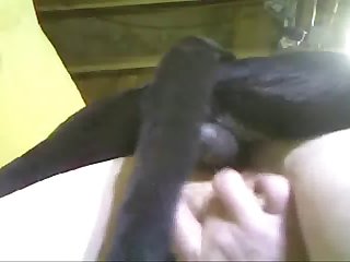 Dog Porn Vids.us