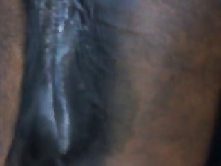 Emily Willis Dog Porn