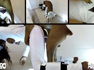 Man Fucking Dog Porn Videos