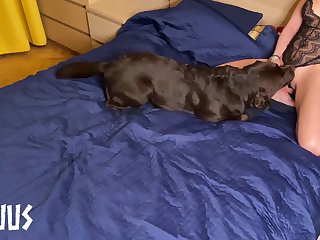 Lost Bet Dog Porn
