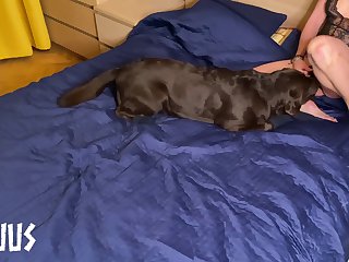 Lost Bet Dog Porn