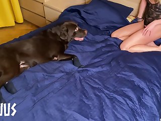 Lost Bet Dog Porn