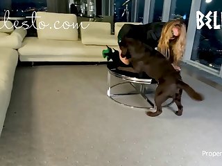 Zoophilie Chiens