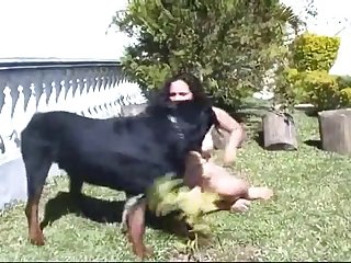 Art Of Zoo Free Vids