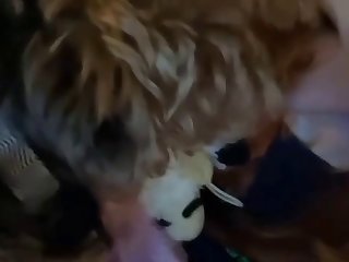 魚とセックス