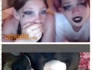 Mulher Fudendo Com Cachorro