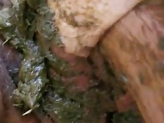 Porno Xxx El Toro