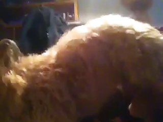 Syllable With Another Swipe From The Rope. Jenni Untied