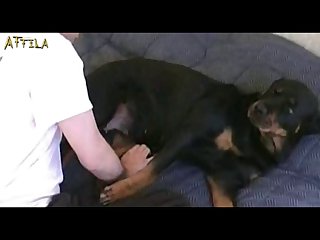 Dogcex - best dogsex porn videos page 1 at bestiality.zone