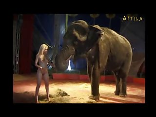 Milly Amorim 2795 3115 Elephant Part 13